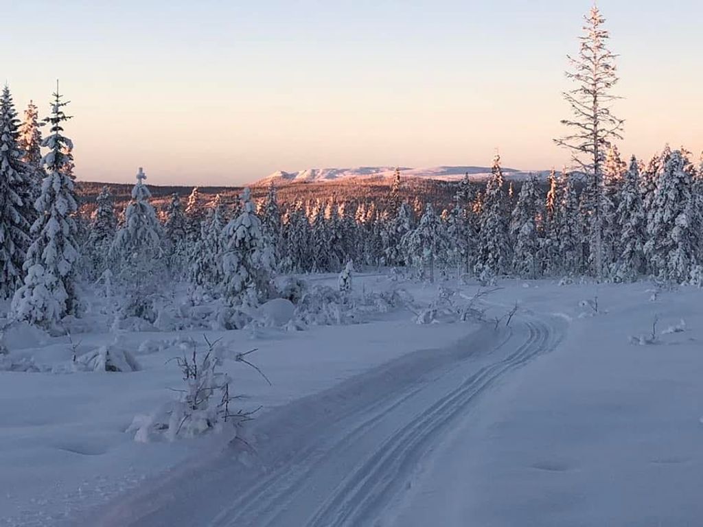 Treningsmuligheter før VM 