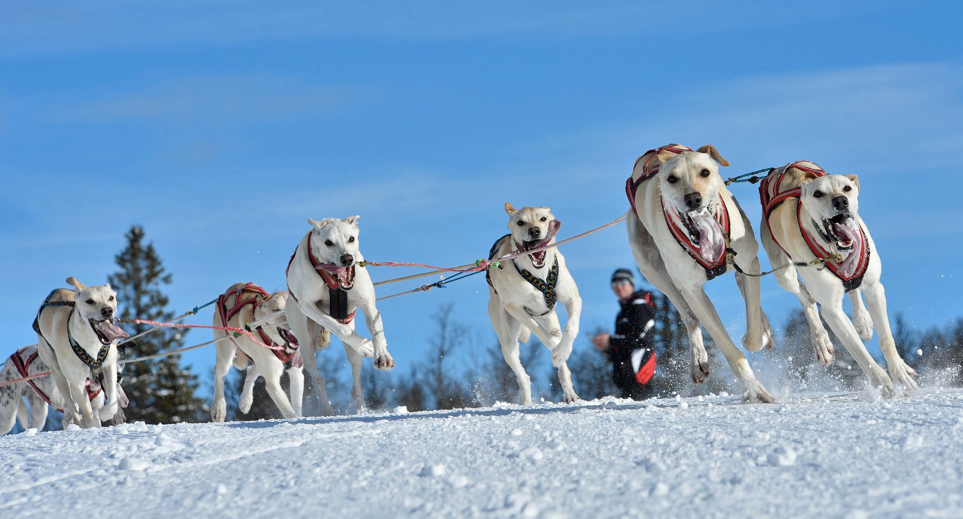 Photo Per Sverre Simonsen