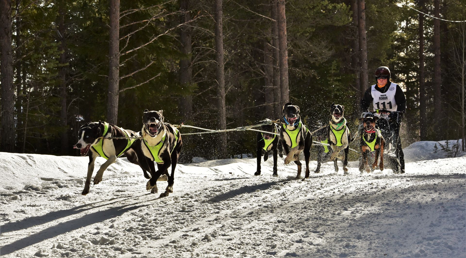 Foto Per Sverre Simonsen