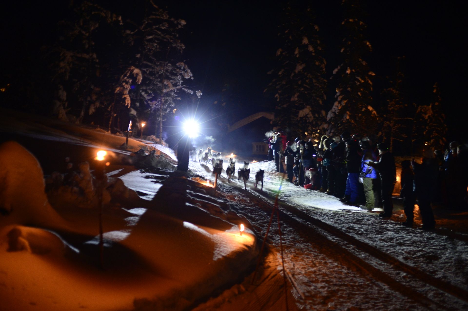 Foto Øystein Hvalsengen