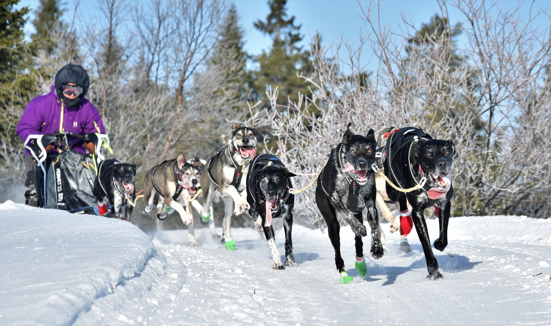 Foto Per Sverre Simonsen