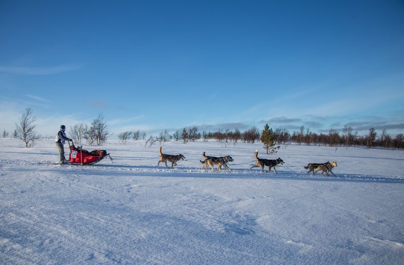 Temperaturer og værforhold på Røros 